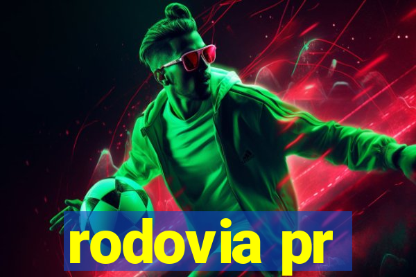 rodovia pr-317 km 155 onde fica